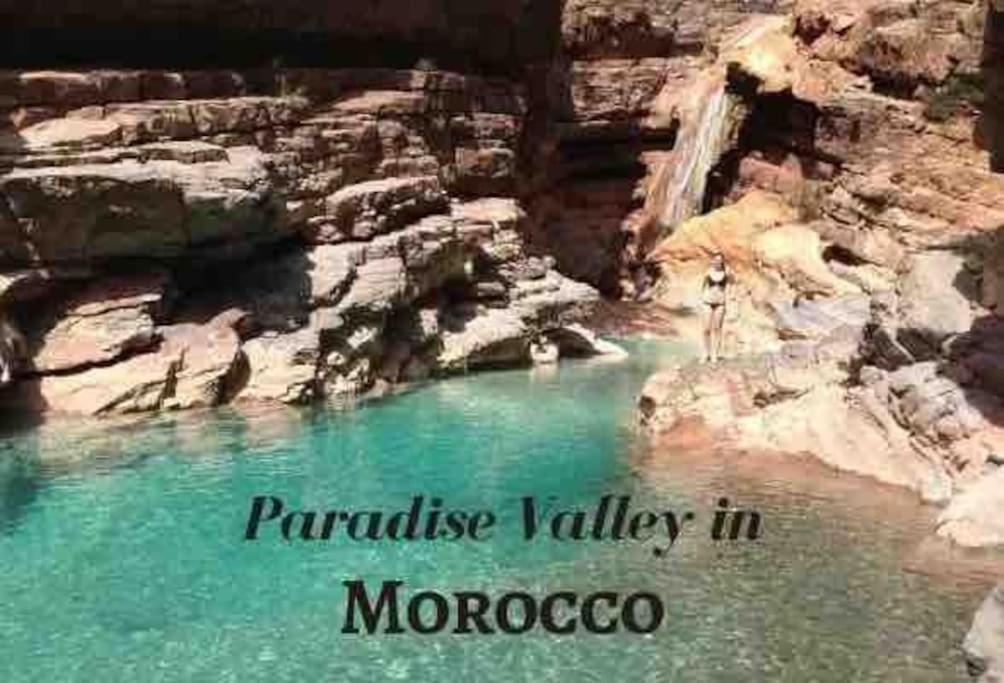 Why Not! Daire Agadir Dış mekan fotoğraf
